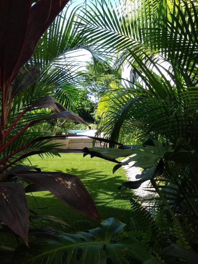 Palm Beach Inn Playa Grande Exterior photo